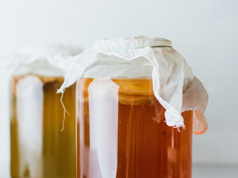 Should I drink kombucha?