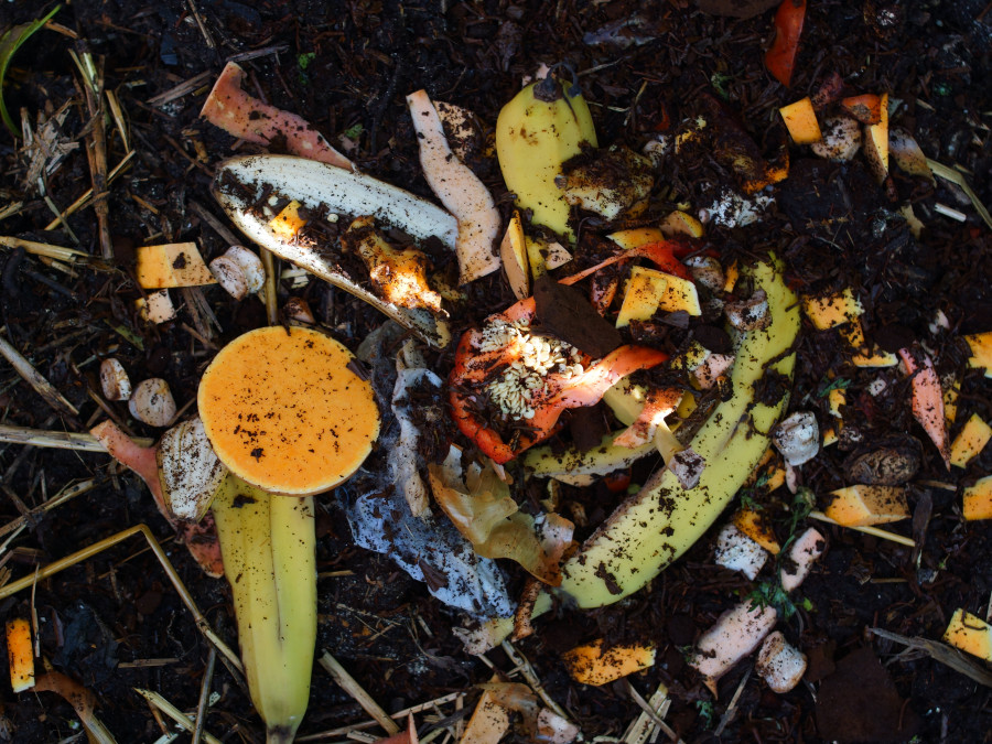 How do I minimise food waste?
